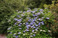 145 Trewidden Garden