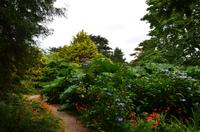 153 Trewidden Garden