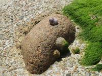 054_Fluchtrückstände