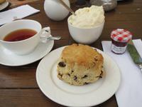 097_Scones und Cream Tea