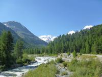 Fahrt mit dem Bernina-Express