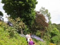 105_Privatgarten von Lady Guthrie