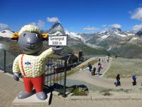 auf dem Gornergrat ....