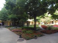 Espace van Gogh in Arles 