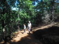 in den Ockerbergen von Roussillon 