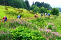 Wanderung am Carron Valley