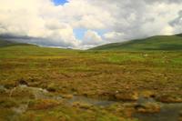 Mit dem Zug vorbei am Ben Nevis