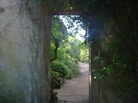 in den Gärten Madeiras