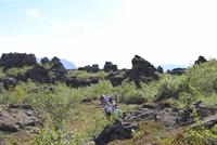 Lava-Labyrinth Dimmuborgir 