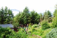 Petras Steinhaus in Stodvarfjördur