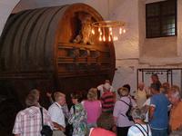 Max mit den Meißnern