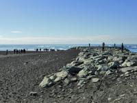 an der Mündung der Gletscherlagune Jökulsárlòn ins Meer
