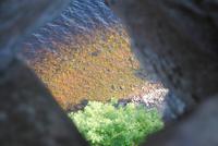 Blick vom Turm Urquhart Castle auf das Ufer des Loch Ness