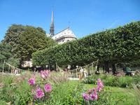 Notre Dame