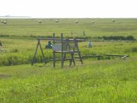 S6303477