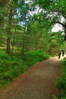 Wanderung am Loch An Eilean