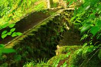 Spaziergang zu Ossian's Hall