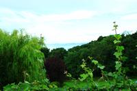 Blick in Richtung Edinburgh