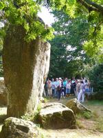 Menhire von Kerzerho in der Nähe von Carnac