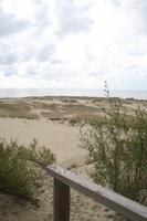 Düne an der Kurischen Nehrung