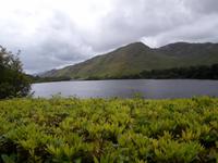 bei Kylemore Abbey