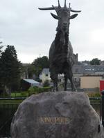 Puck in Killorglin