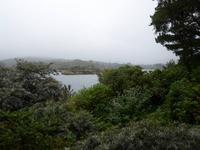 Garinish Island