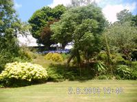 In Lady Guthries Garten