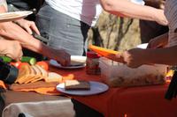 Picknick im Pilanesberg-Nationalpark