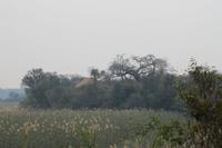 Wanderung an der Namushasha Lodge