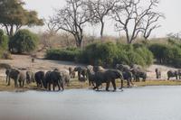 Pirschfahrt mit dem Boot im Chobe Nationalpark