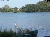 Reisegäste beim Baden in Trakai