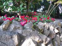 unterwegs in den Vatikanischen GÃ€rten