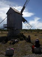 Windmühle auf Saaremaa
