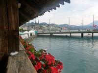 Stadtführung in Luzern (Spaziergang über die Kapellbrücke)