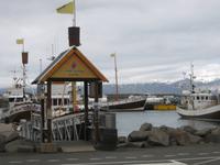 Der Hafen von Husavik