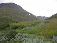 Auf dem Weg zu den Ostfjorden