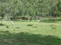 Landschaftsbild in Gletschernähe