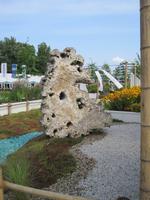 Drache aus Vulkanstein