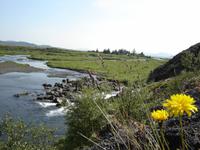 0195 Thingvellir
