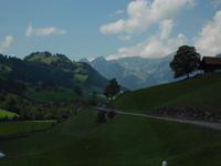 Im Simmental