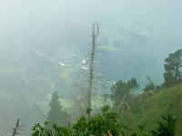 Blick vom Stanserhorn