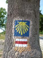 Sandomierz_Jacobi (1)