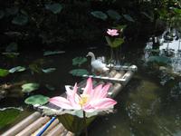 Wer ist hier die Schönste?