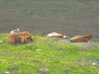 ...wie auf dem Präsentierteller...