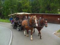 Kutschfahrt ins Val Roseg 