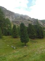 Kutschfahrt ins Val Roseg 