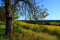 028 Masuren, Sensburger Seenplatte
