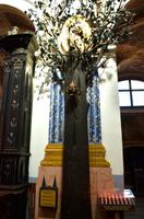 045 Die Heilige Linde in der Wallfahrtskirche