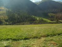 Fahrt durch das Gomstal via Grimselpass 